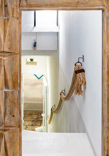 B&B Fico D'india