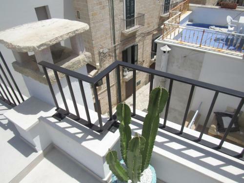 Apartamento Nisea