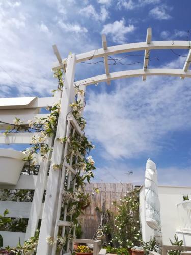 Bed & Breakfast Mandorleolio