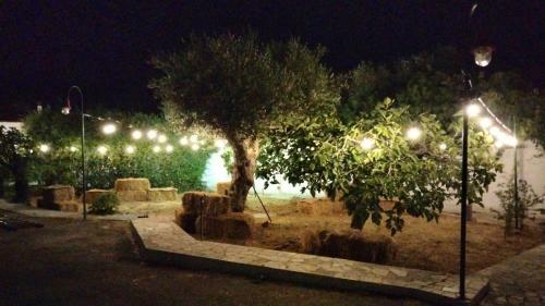 Villa Terra Mia