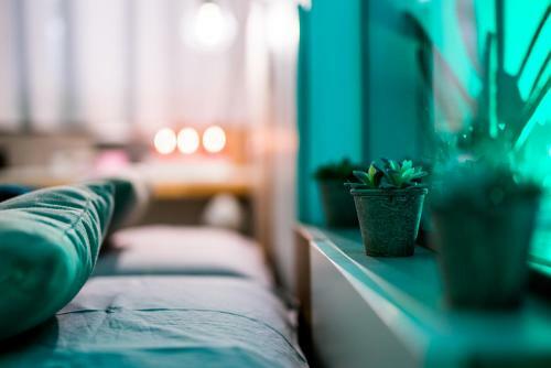 Hostal Mc Suite Relax