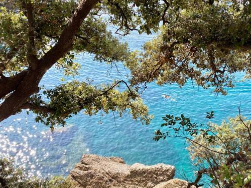 Apartamento A Dream In Portofino Piazzetta