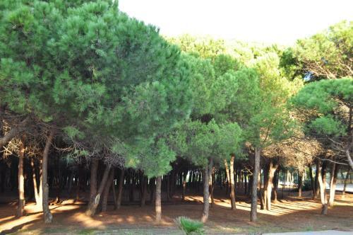 Apartamento Sa Cala Manna
