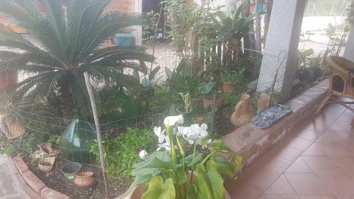 Apartamento La Tua Mansarda In Sardegna