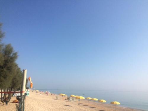Camping La Pineta