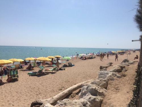 Camping La Pineta