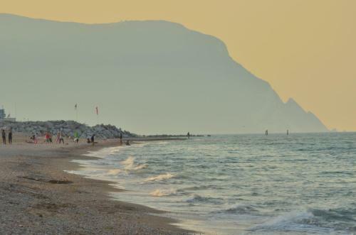 Camping La Pineta
