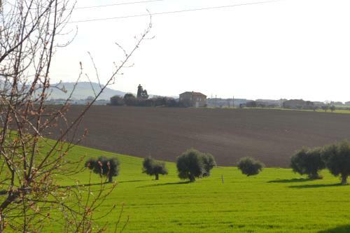 B&B Il Tiglio
