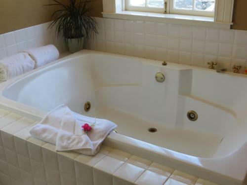 Bed & Breakfast Arbor Guest House