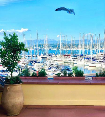 Apartamento Platessa