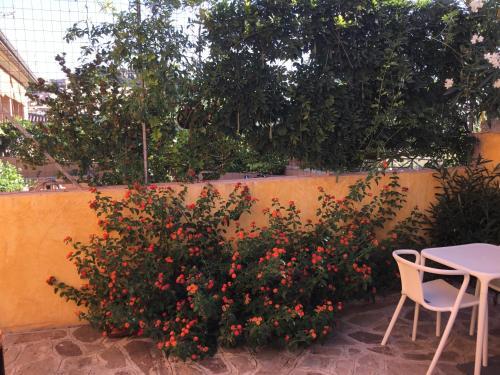 B&B Levante Posada