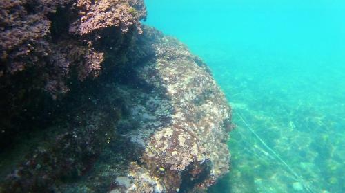 Le Case Di Carlotta & Giorgia