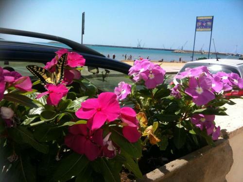 Bed & Breakfast Terrazze Sul Mare