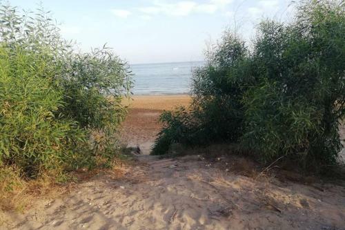 Apartamento Grazioso Appartamento Di Fronte Al Mare