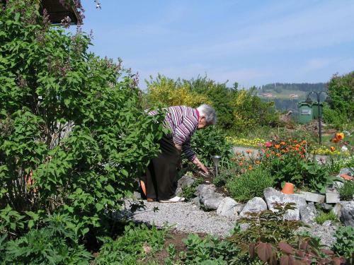 Hostal Pension Sonnblick