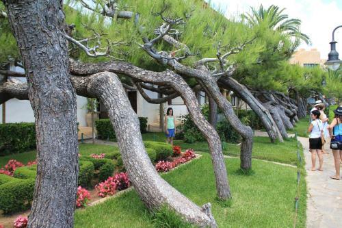Casa Neus Bar�