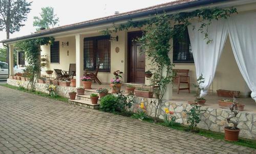 B&B Rolu
