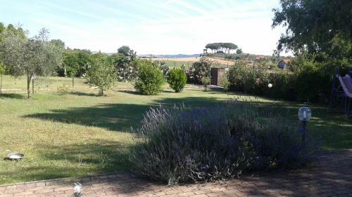B&B Rolu