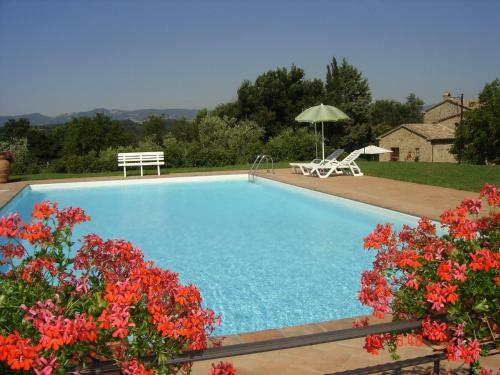 Cosy Farmhouse In Proceno With Swimming Pool