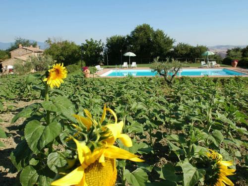 Cosy Farmhouse In Proceno With Swimming Pool