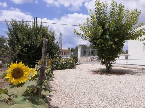 Apartamento Da Francesco