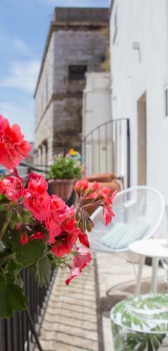 Apartamento Greenhouse