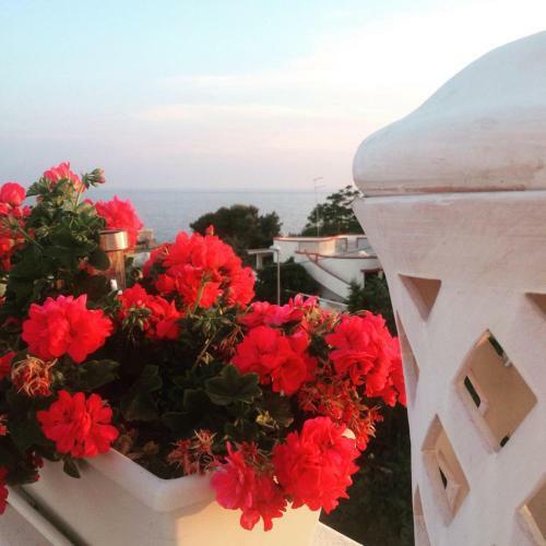 Bed & Breakfast Casa Mita