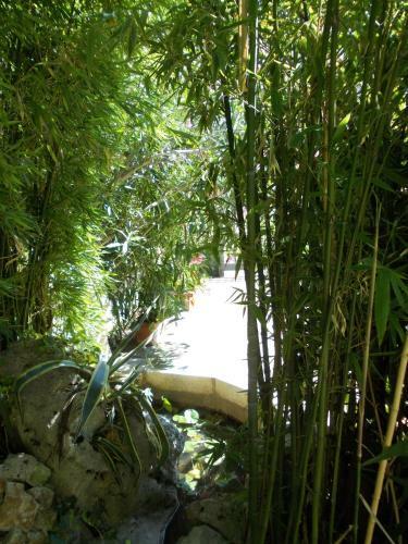 B&B Il Bamb�