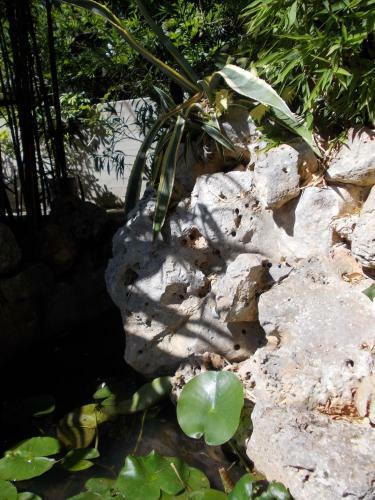 B&B Il Bamb�