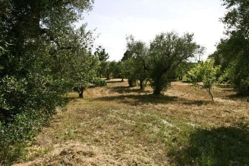 I Trulli Di Sara