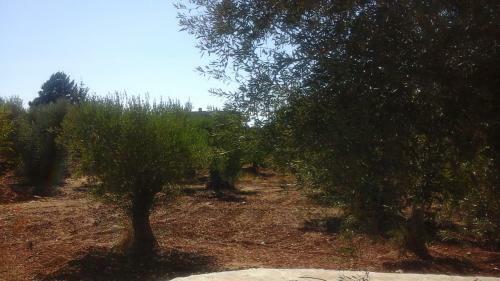 I Trulli Di Sara