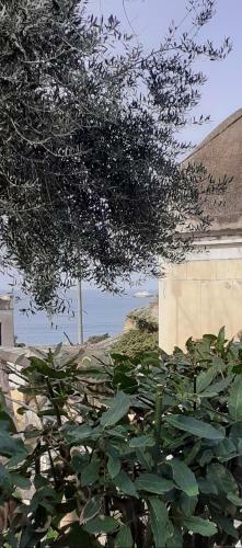 Sonnino B&B