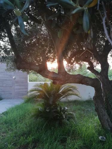 Apartamento Residenza Marcella