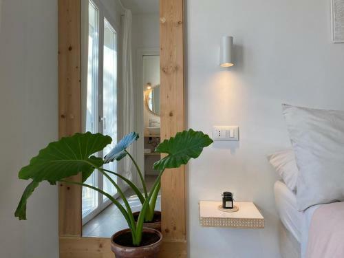 Pathos B&B