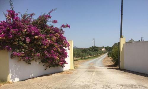 Hostal Villa Sa Perdera