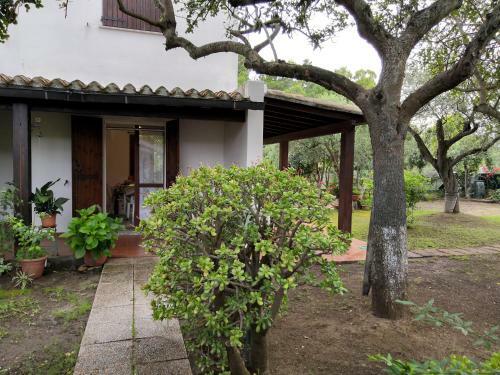 Casa Zedda