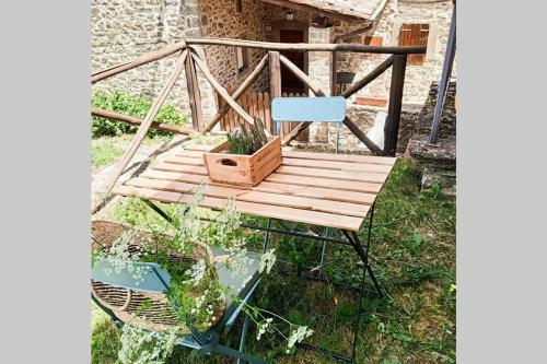 Nest In The Woods - Nido Nel Bosco