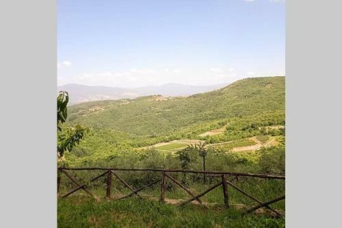 Nest In The Woods - Nido Nel Bosco
