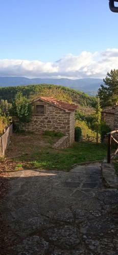 Nest In The Woods - Nido Nel Bosco