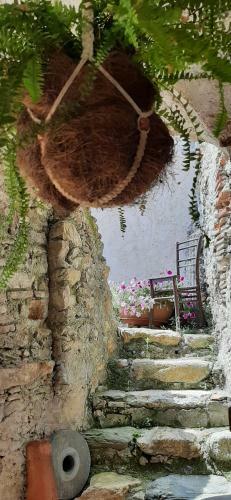 B&B L' Antica Macina