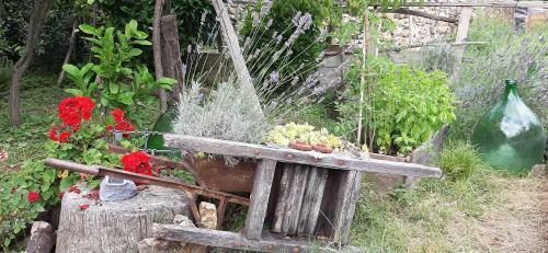 B&B L' Antica Macina