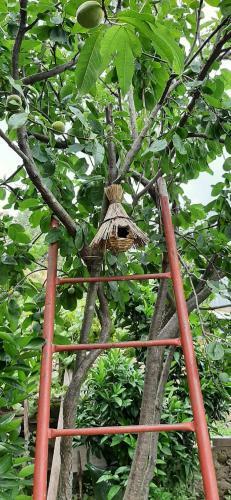 B&B L' Antica Macina