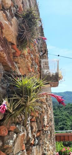 B&B L' Antica Macina