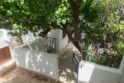 Apartamento Ulivo
