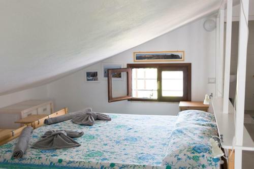 Apartamento Ulivo