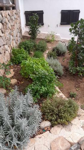 Apartamento Ulivo