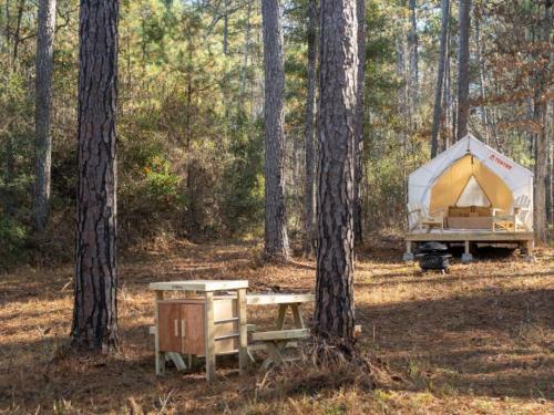 Tentrr State Park Site - Mississippi Clarkco State Park - Trailside E - Single Camp