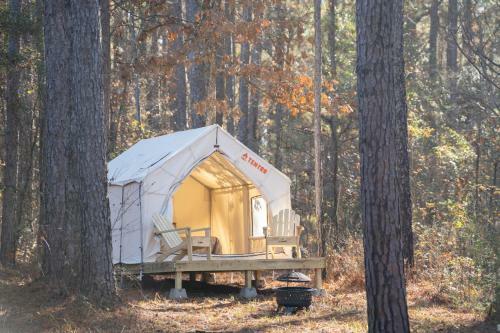 Tentrr State Park Site - Mississippi Clarkco State Park - Trailside E - Single Camp
