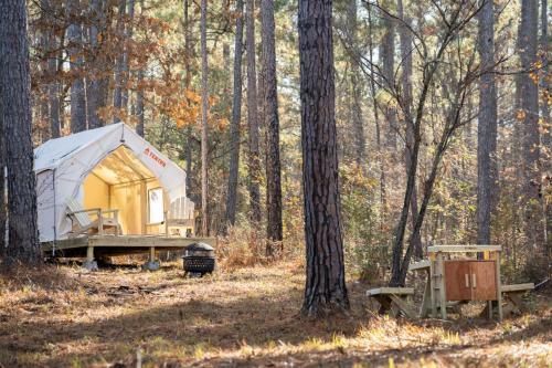 Tentrr State Park Site - Mississippi Clarkco State Park - Trailside E - Single Camp