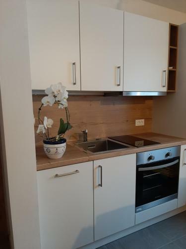Apartment Anna